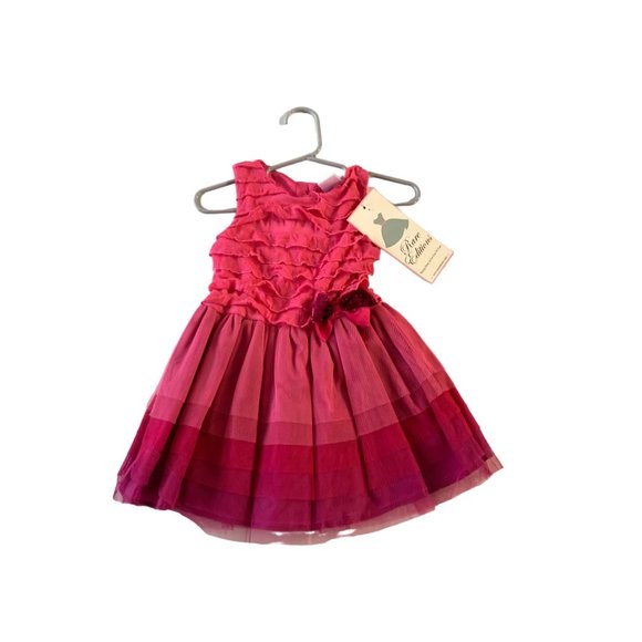New Sweet Heart Rose Girls Toddler 2T Pink Ombre Dress Tiered Top Tulle Bottom B - Picture 1 of 4
